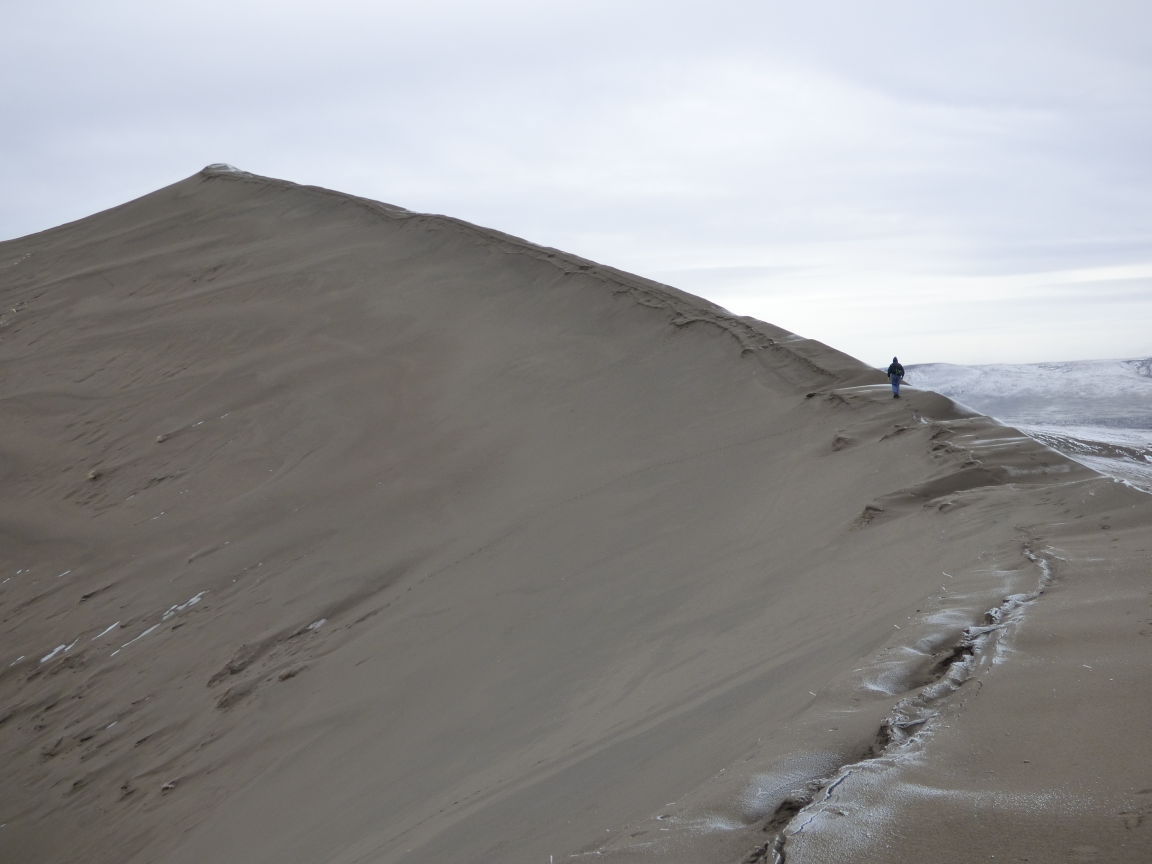 Bruneau Dunes